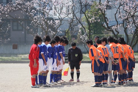 with cherryblossom