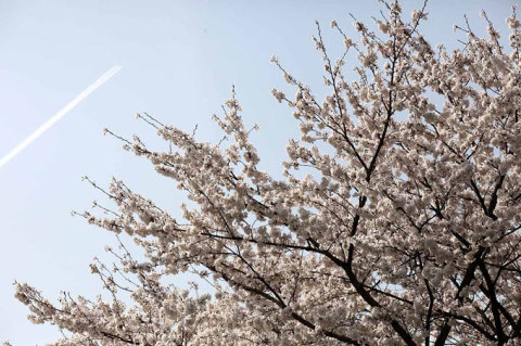 PHOTO BY YAMAMOTO