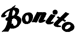 logo-t-bonito